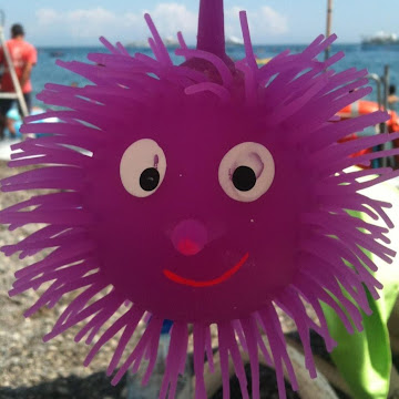 Foto profilo di lucibellogiovanni